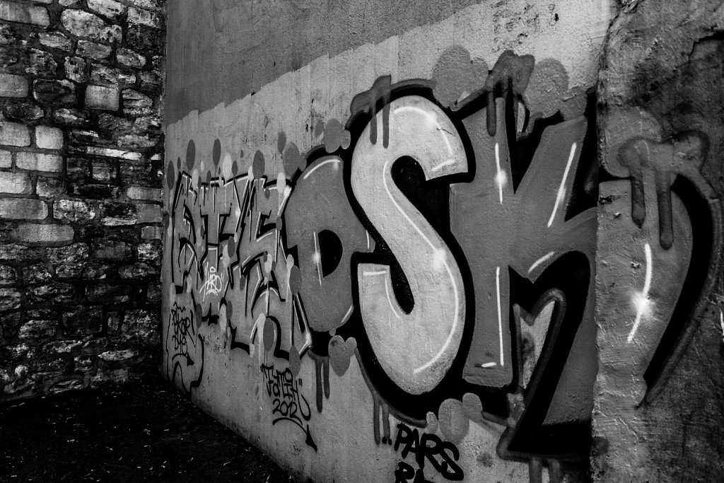 IMG-6739.jpg
